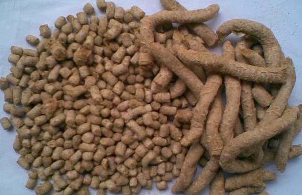 科學(xué)配置育肥豬飼料配方的關(guān)鍵要素與實(shí)踐指導(dǎo)