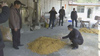 佳旺鹿業(yè) 精準(zhǔn)“飼料”供給，為鄖西金龍山村發(fā)展注入綠色新動能